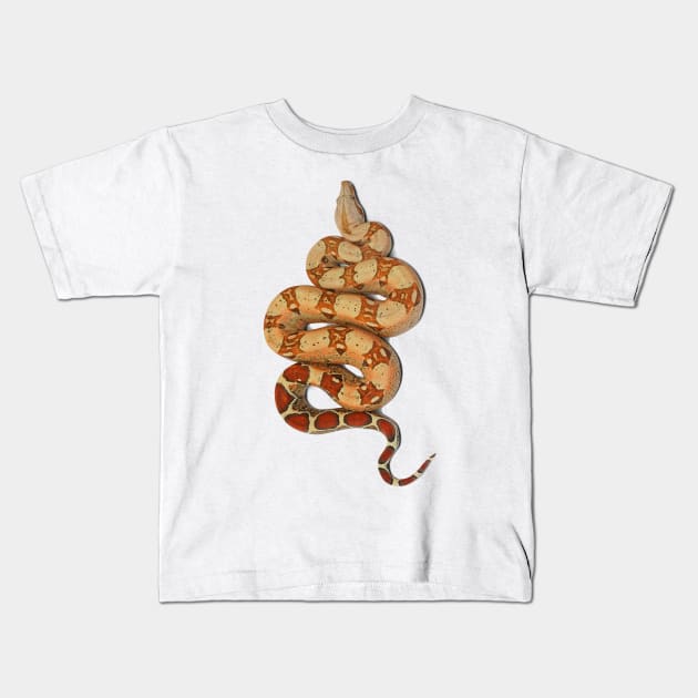 Boa constrictor Kids T-Shirt by NerdsbyLeo